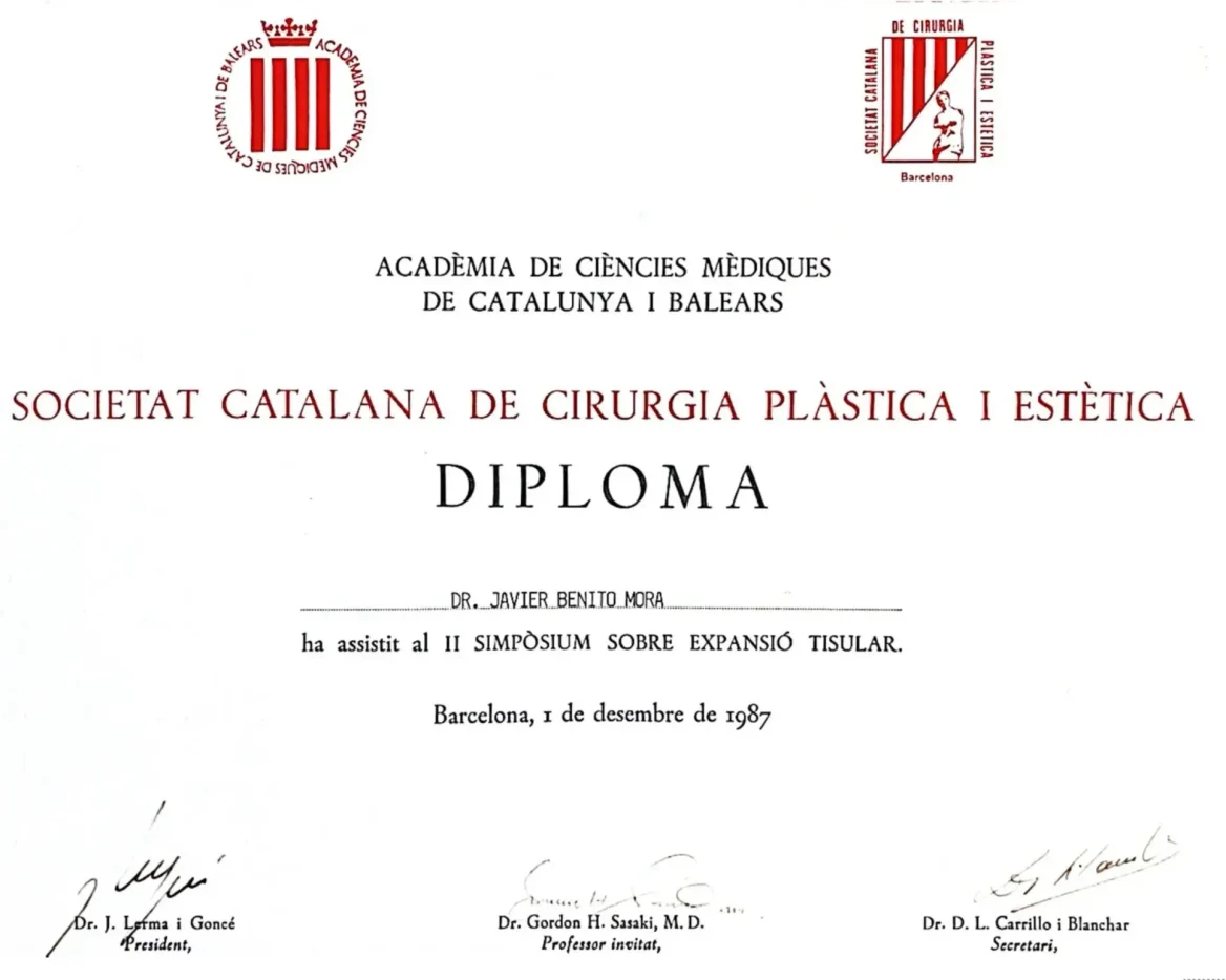 diploma societat catalana plàstica i estètica